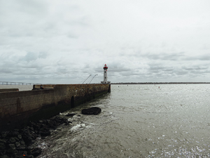 Vétérinaire de garde Saint-Nazaire